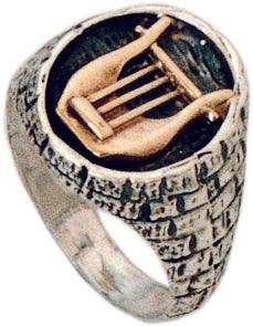 Gold Harp of David set in lite silver ring made in Jerusalem - Biblicaljewels