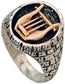 Gold Harp of David set in lite silver ring made in Jerusalem - Biblicaljewels